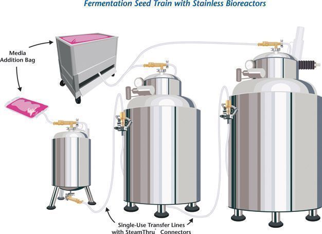 Fermentation seed train with stainless bioreactors